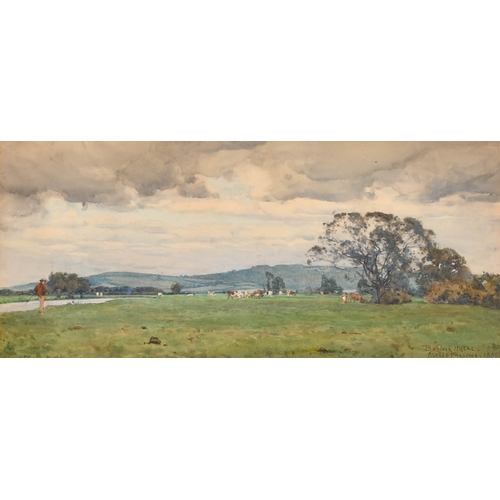 Lot 53        