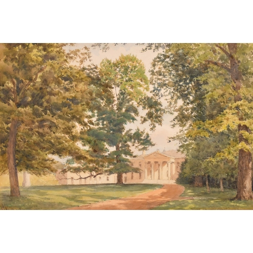 Lot 56        