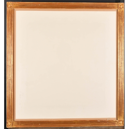 353 - 20th Century English School. A Gilt Composition Frame with inset glass, rebate 27.5