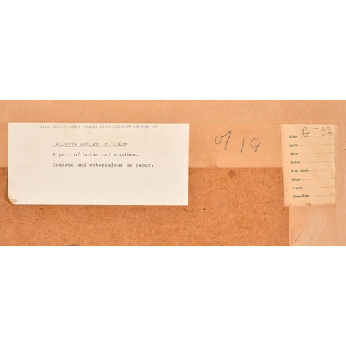 23 - 19th Century Calcutta (Indian) School. 