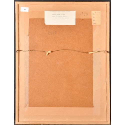 23 - 19th Century Calcutta (Indian) School. 