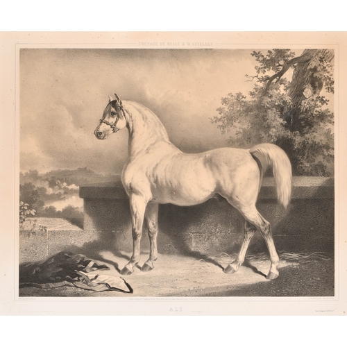 118 - After Alfred de Dreux (1810-1860) French. 