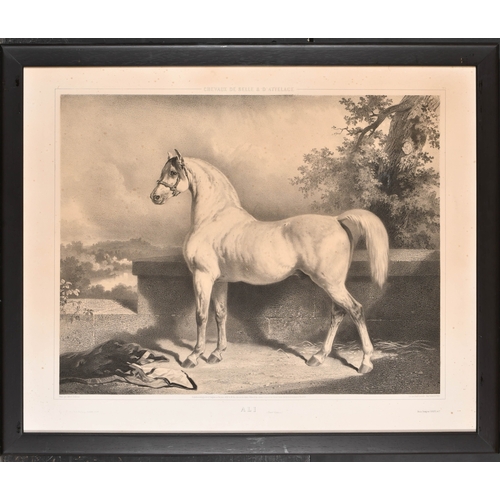 118 - After Alfred de Dreux (1810-1860) French. 