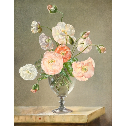 237 - Cecil Kennedy (1905-1997) British. Poppies in a Glass Vase, Oil on canvas, Signed, 20