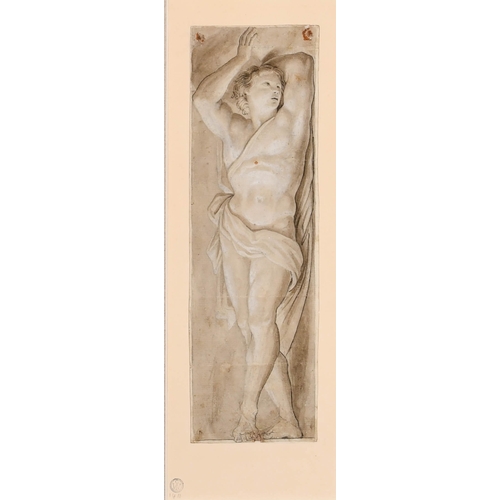 Lot 24        