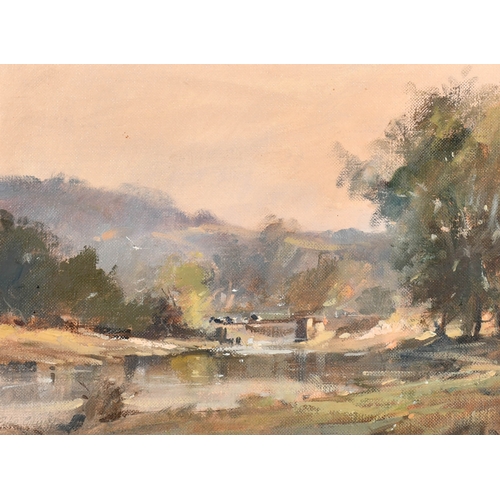 Lot 254       
