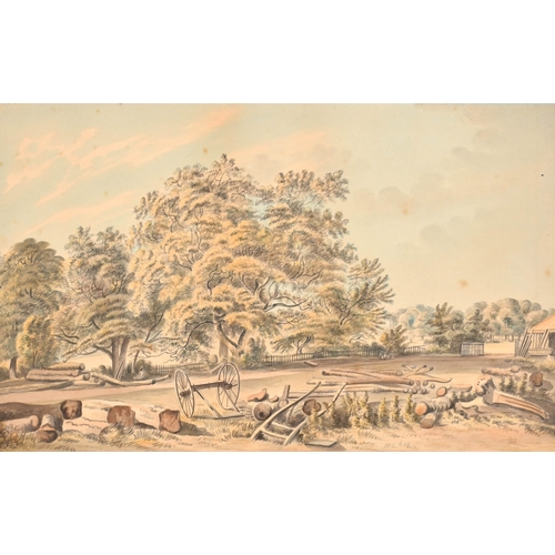 Lot 28        