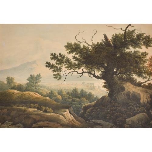 Lot 34        