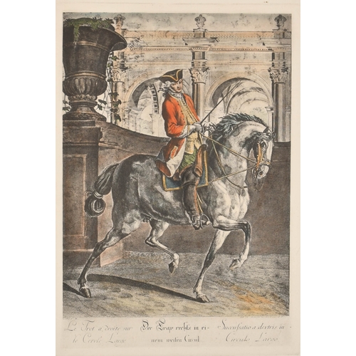 Lot 13        