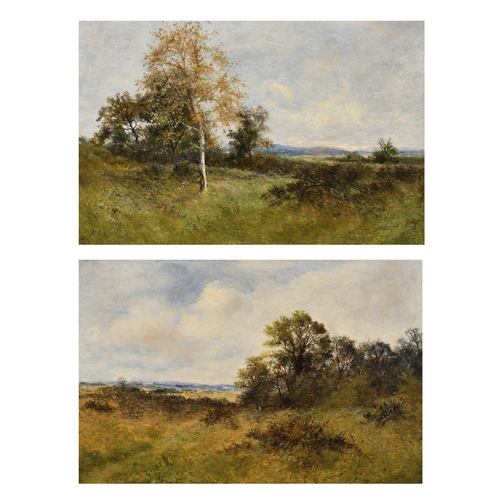 Lot 51        