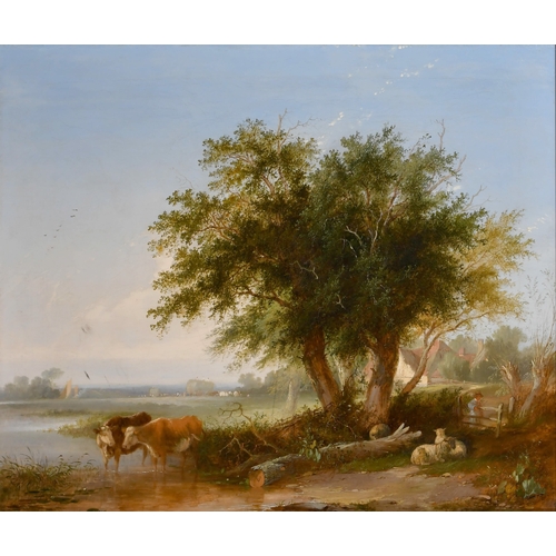 Lot 56        