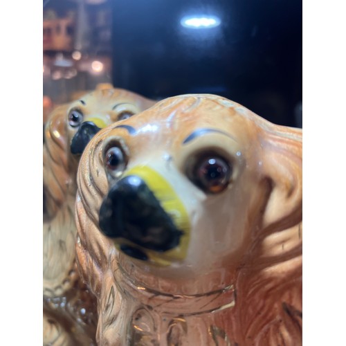 30 - Victorian Staffordshire dogs with glass eyes