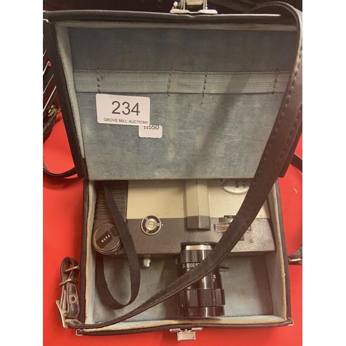 Lot 234       