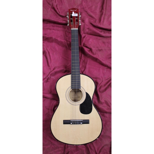 293 - SPANISH GUITAR