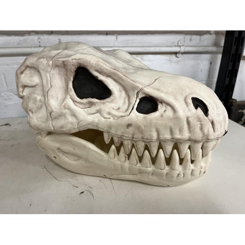 46 - TYRANNOSAURUS REX SKELETON HEAD