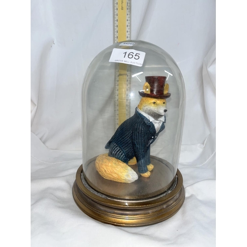 165 - GENTLEMAN FOX IN DOME DISPLAY