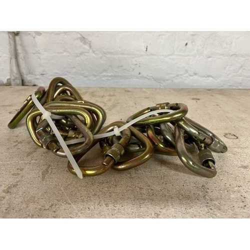 101 - 18 CARABINERS