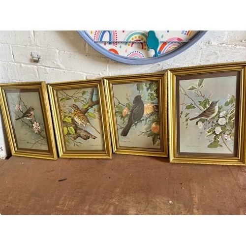 8 - 4 FRAMED BIRD PRINTS