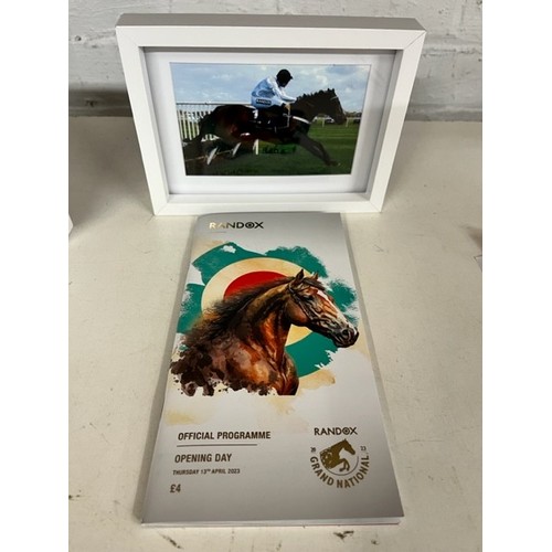 15 - FRAMED 'CONSTITUTION HILL' PHOTOGRAPH & RANDOX GRAND NATIONAL FESTIVAL 2023 OPENING DAY OFFICIAL PRO... 