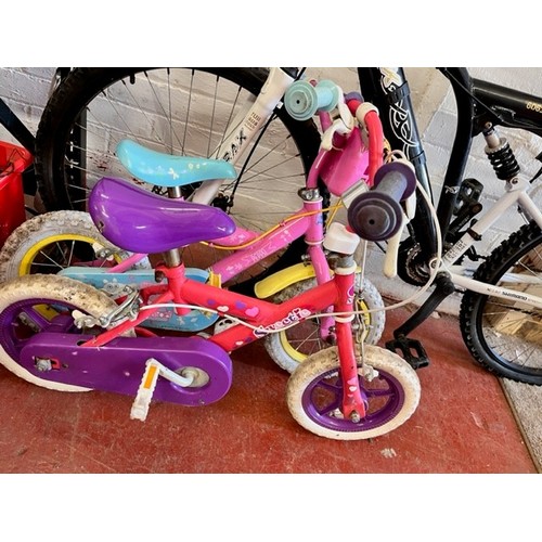 25 - 2 GIRLS BIKES