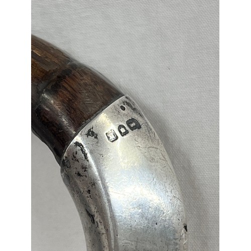 173 - CHESTER SILVER 'TALON' TOPPED WALKING CANE