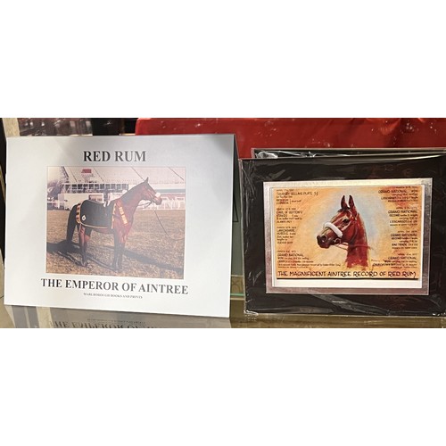 33 - Ltd Ed BOOKLET OF 'RED RUM' SIGNED BY THE COMPILER & FRAMED 'RED RUM'S MAGNIFICENT RACING HISTORY'