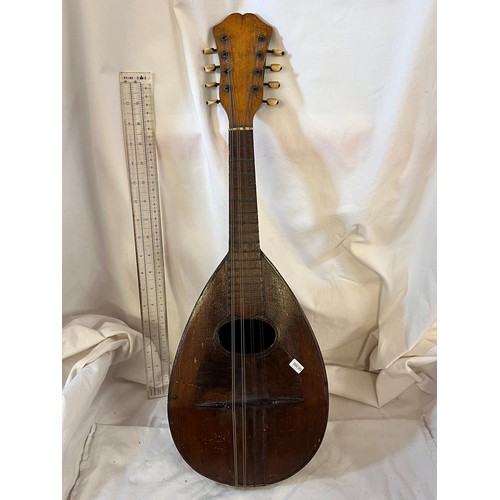 206 - ETHNIC STRING INSTRUMENT