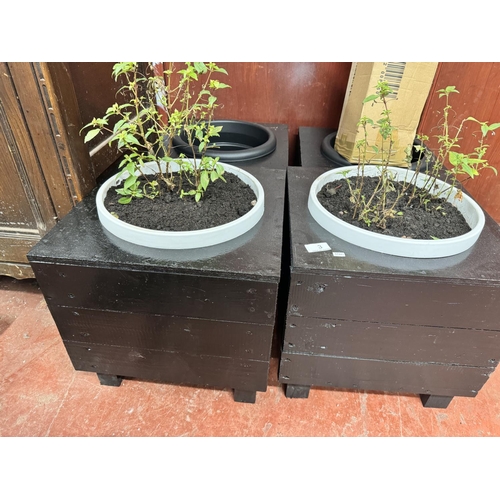 3 - 2 LARGE HANDMADE & PAINTED GARDEN PLANTERS WITH POTTED FUCHSIA PLANTS(RESERVED AT £25)