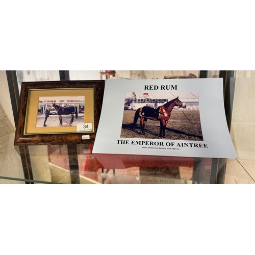 34 - FRAMED RED RUM PHOTO PRINT & Ltd Ed RED RUM BOOKLET(SIGNED BY AUTHOR)