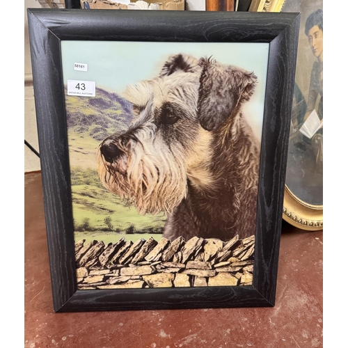 43 - FRAMED 3D SCHNAUZER PICTURE