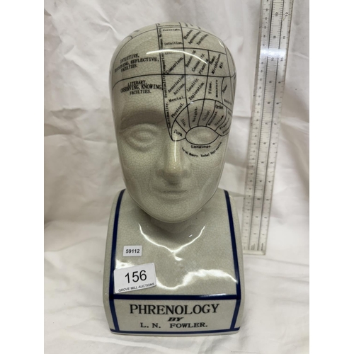 156 - PHRENOLOGY HEAD