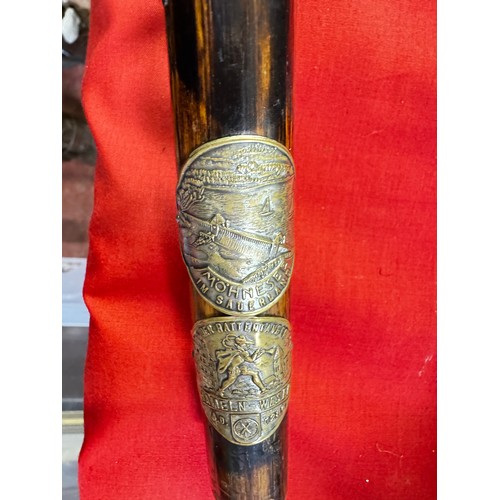 133 - WALKING STICK WITH BRASS 'WALKING' BADGES INCL GERMAN