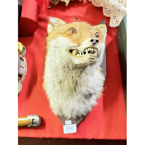 260 - TAXIDERMY 'FOX' HEAD ON WALL HINGING PLINTH(RESERVED AT £125)