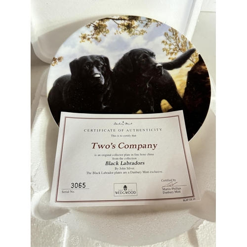 80 - 8 COLLECTOR'S PLATES INCL WEDGWOOD LABRADORS