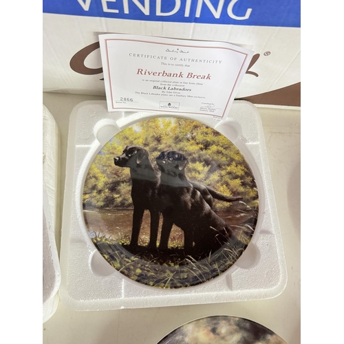 80 - 8 COLLECTOR'S PLATES INCL WEDGWOOD LABRADORS