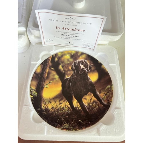 80 - 8 COLLECTOR'S PLATES INCL WEDGWOOD LABRADORS