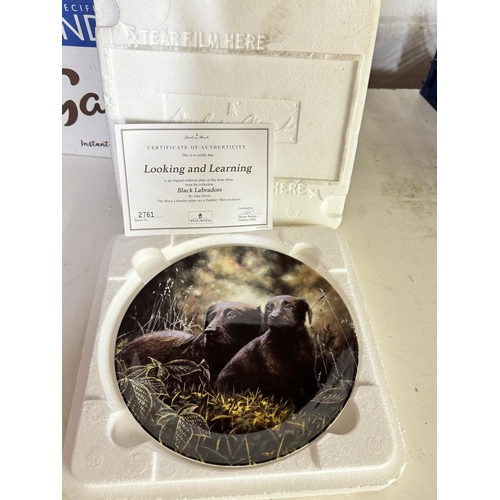 80 - 8 COLLECTOR'S PLATES INCL WEDGWOOD LABRADORS