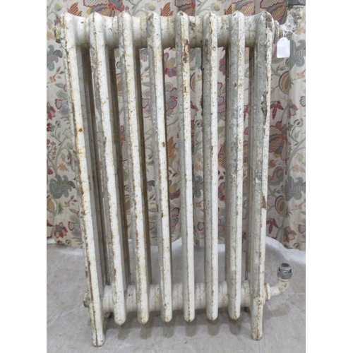 53 - Two early 20thC painted iron, water filled radiators  31