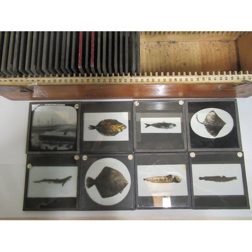 135 - A quantity of late 19th/early 20thC coloured and monochrome photographic glass magic lantern slides:... 