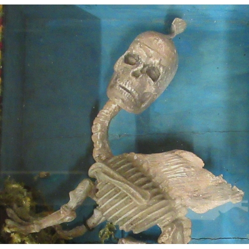 166 - A late Victorian novelty skeletal 'Mermaid Fairy Dog' displayed in a glazed mahogany box case  10