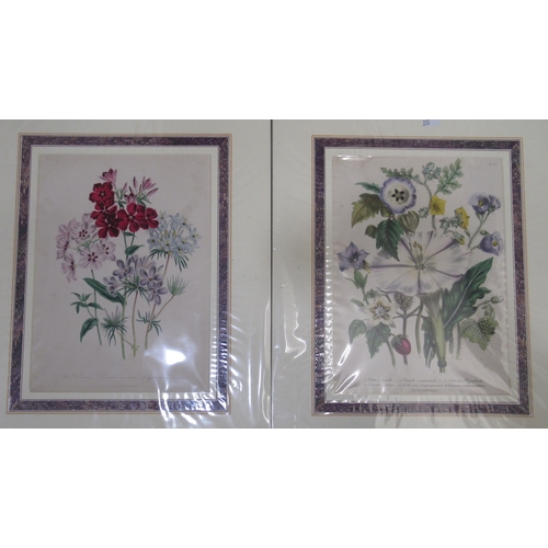253 - Three late 19thC botanical studies&nbsp; prints&nbsp; 10
