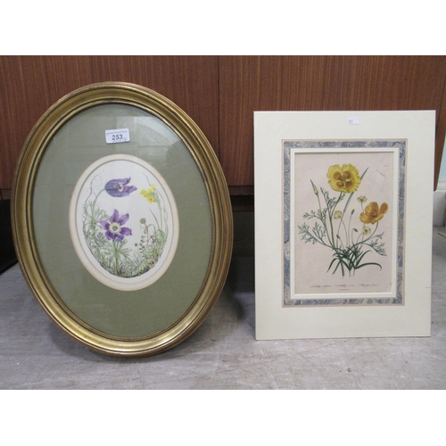 253 - Three late 19thC botanical studies&nbsp; prints&nbsp; 10