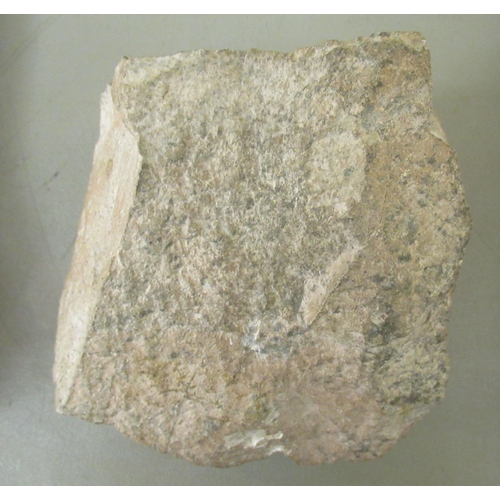 165 - A pair of framed and displayed examples of middle and lower Jurassic and other small fossils