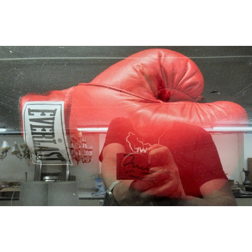 201 - Ali V Frazer - a boxing glove and a picture, bearing signatures, in a box frame  27