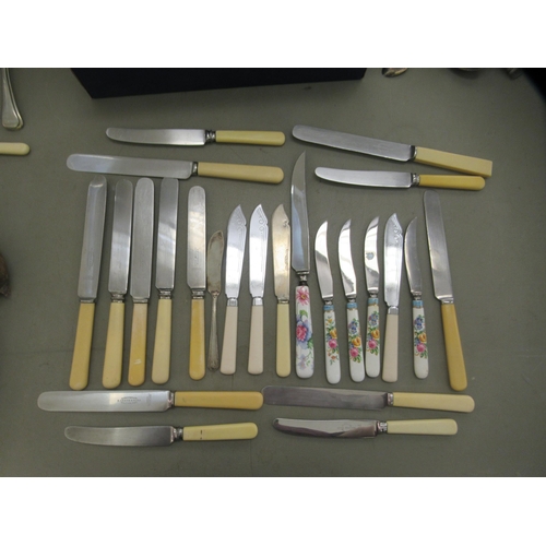 355 - EPNS and stainless steel cutlery and flatware, some on ivorine handles