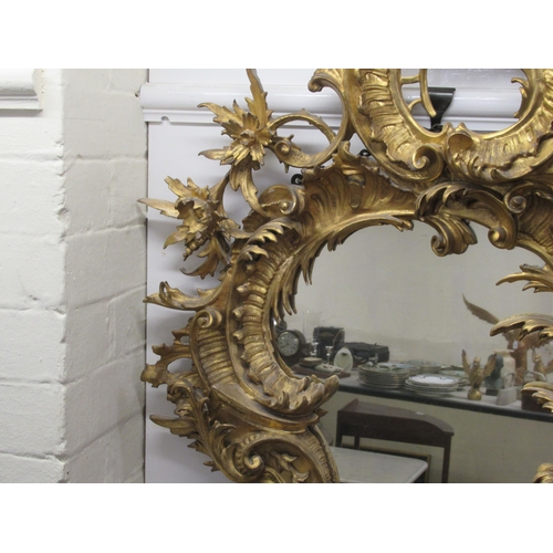 190 - A late 18th/early 19thC mirror, set in a carved giltwood, foliate scrolled and floral, rococo style ... 