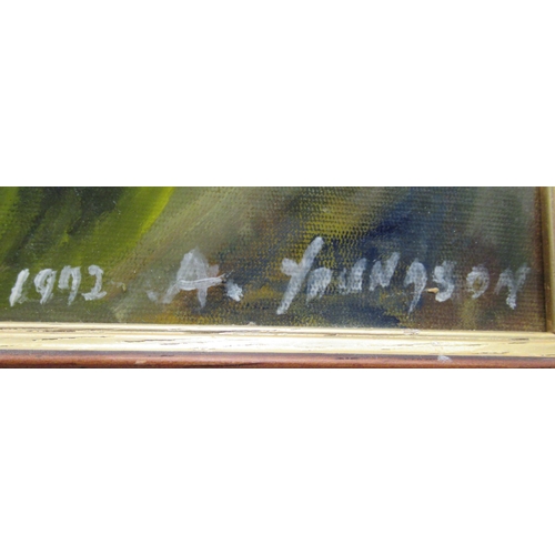 92 - A Youngson - a stag&nbsp; mixed media on board&nbsp; bears a signature & dated 1992&nbsp; 19