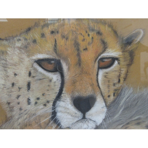 121 - L A Clarke - a cheetah and her cub&nbsp; pastel&nbsp; bears a signature&nbsp; 19