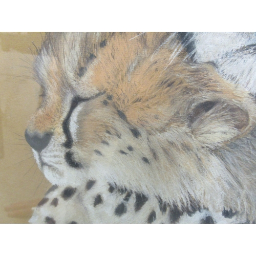 121 - L A Clarke - a cheetah and her cub&nbsp; pastel&nbsp; bears a signature&nbsp; 19