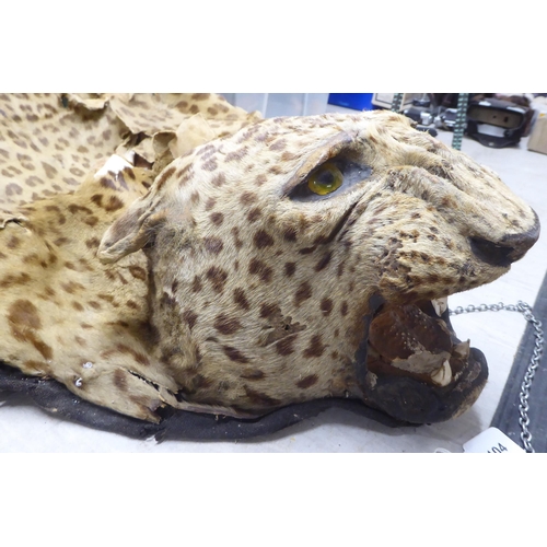 104 - Taxidermy: a leopard skin rug  58